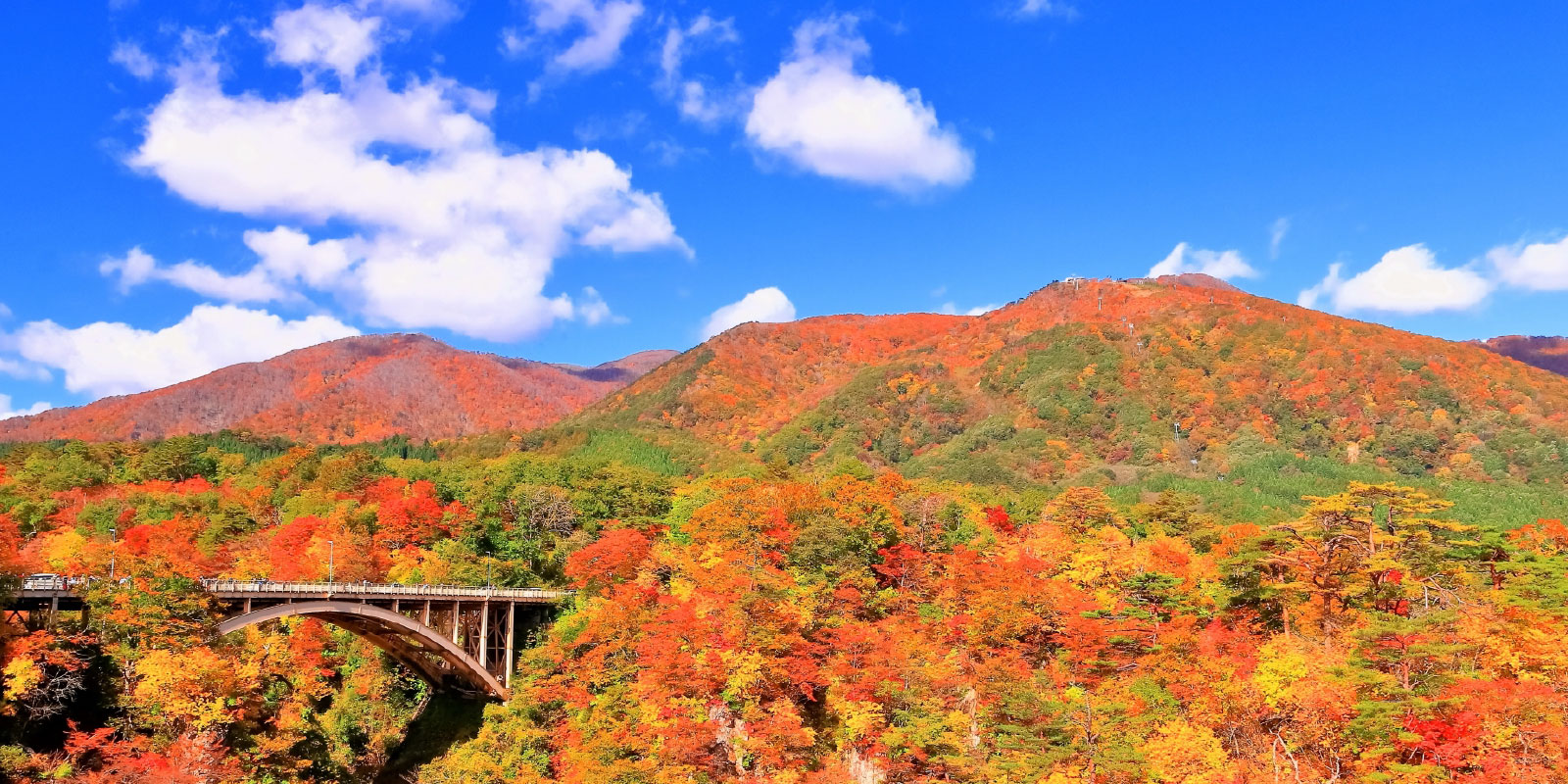 宮城県大崎市の風景